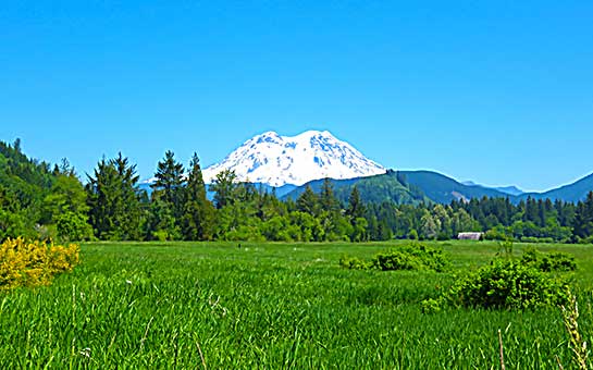 Seguro de viaje al parque nacional del Monte Rainier